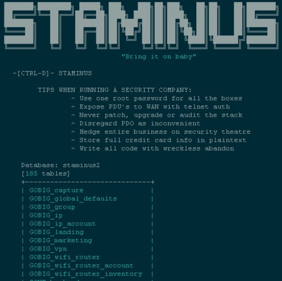 Hackers Target Anti-DDoS Firm Staminus